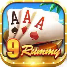 9 Rummy app icon